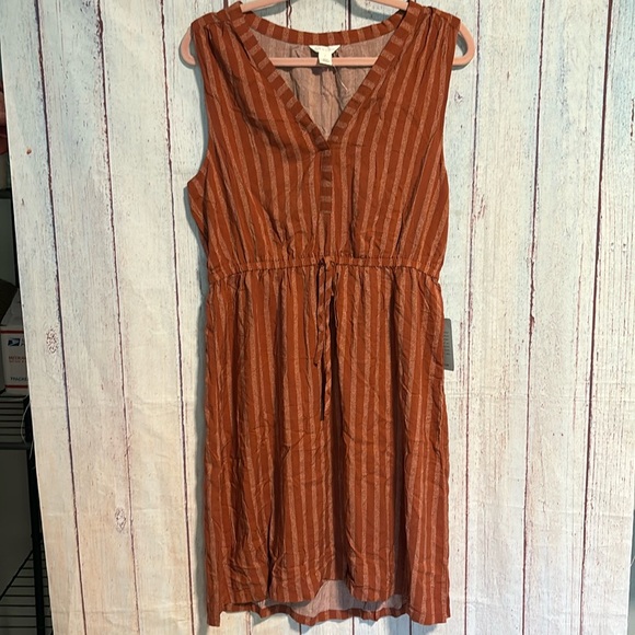 NWT Caslon Stripe Print Sleeveless Dress - Picture 2 of 12